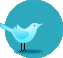 FBW bei Twitter