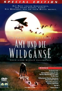 Filmplakat: Amy und die Wildgänse