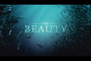 Filmplakat: The Beauty