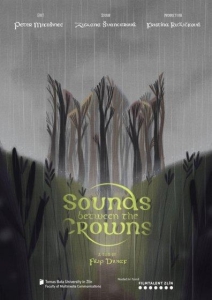 Filmplakat: Sound between the Crowns - Die Melodie aus dem Wald